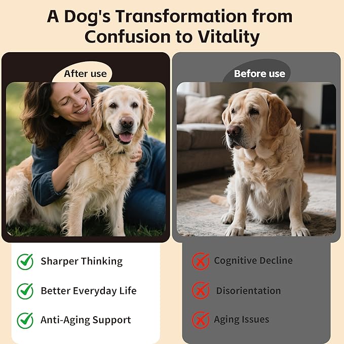 Lion's Mane Mushrooms for Dogs - Dementia Support – Supports Healthy Brains and Nervous Systems - Same, Turkey Tail, Lion's Mane, Reishi, Cordyceps, Supplement for Senior Dogs – 120 Tablets