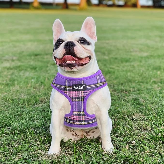 PUPTECK Soft Mesh Dog Harness and Leash Set Pet Puppy Cat Comfort Padded Vest No Pull Harnesses, Purple, L