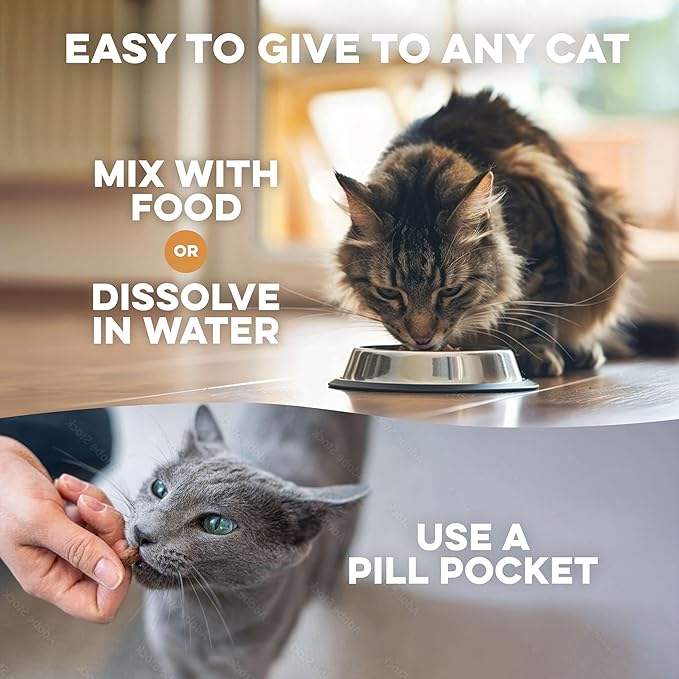 Cat Laxative Constipation Relief for Cats, Natural Stool Softener Support, Odorless Pills for Cat Constipation Relief, Promotes Regular Bowel Movement & Digestive Comfort, Easy Dosing (400 Pills)