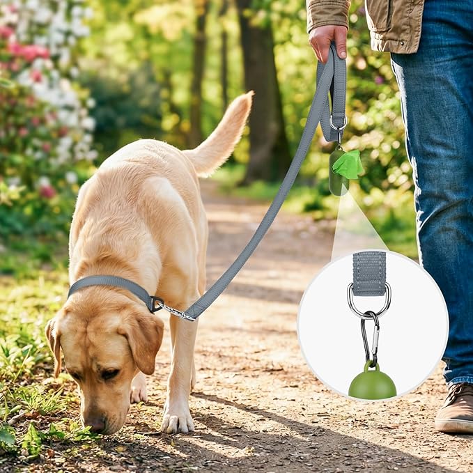 Joytale Dog Leash, 6 FT Double-Sided Reflective, Padded Handle Nylon Heavy Duty Leashes for Small Dogs Walking, Grey