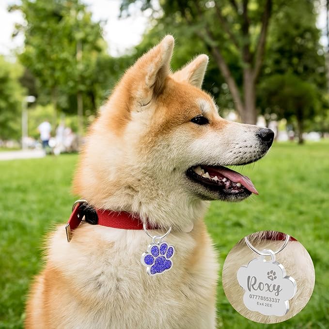 EDSG Cat Dog Tags Personalized for Pets, Dog Name Tags Cat Name ID Tag, Engraved Dog Tags Dog ID Tags Small Glitter Bling ID Tag Paw Print for Cat Pet Dog Puppy(Red,Design 3)