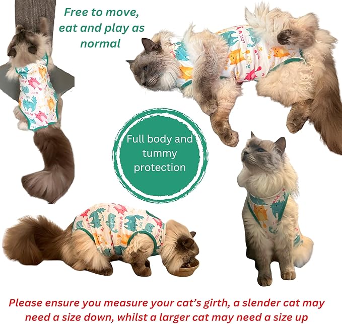 Cat Recovery Suit Surgical Onesie - Post Surgery - Soft Breathable Fabric - No-Cord Design - Protects Wounds and Skin After Spay or Neuter - Male and Female Cats | Medium