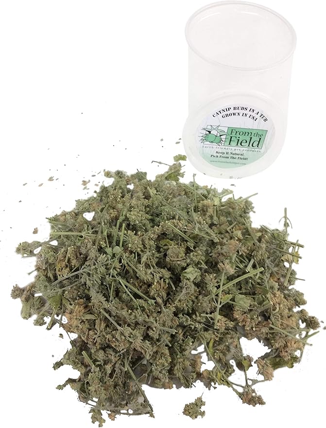 from The Field | Premium Whole Catnip Buds for Cats | Organic, USA-Grown, Fresh & Potent | Natural, Eco-Friendly Cat Treat for Play & Relaxation | Catnip for Indoor Cats | Resealable 1 OZ Tub
