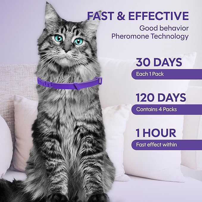 Cat Calming Collar, 4-Pack Pheromone Collars for Cats (Purple) – Adjustable Breakaway, Water Resistant, Stress & Anxiety Relief, Helps Reduce Scratching, Noise Fear & Separation Anxiety