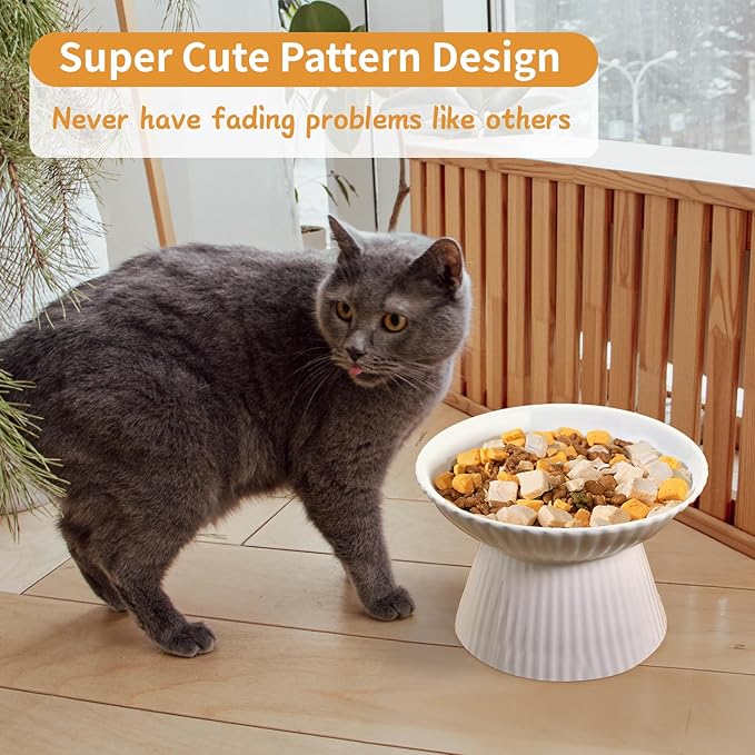 Upgraded 2 Ceramic Elevated Cat Bowls 6.5'' Extra Wide Raised Cat Food Bowls for Food and Water, Anti Vomiting, Cat Dishes for Indoor Cats, Whisker Friendly, Dishwasher & Microwave Safe