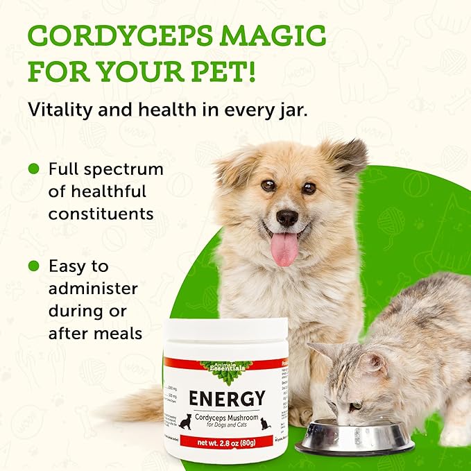 Animal Essentials ENERGY Cordyceps Mushroom Supplement for Dogs & Cats - Support Stamina & Endurance, Healthy Respiratory & Kidney Functions, Antioxidant, Mushroom Powder Extract - 2.8 Oz (Pack of 1)