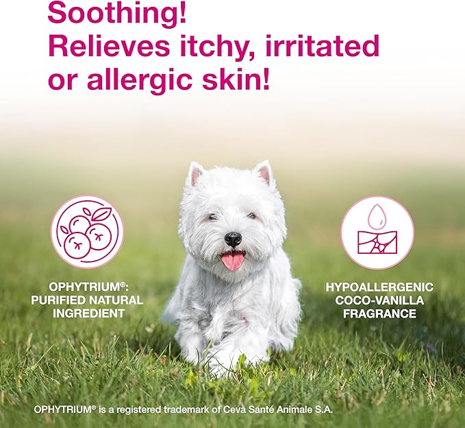 Douxo S3 Calm Mousse, Contains 0.75% Ophytrium, Soothing, For Itchy, Irritated or Allergic Skin, For Dogs and Cats, 5.1 fl. oz. (150mL)