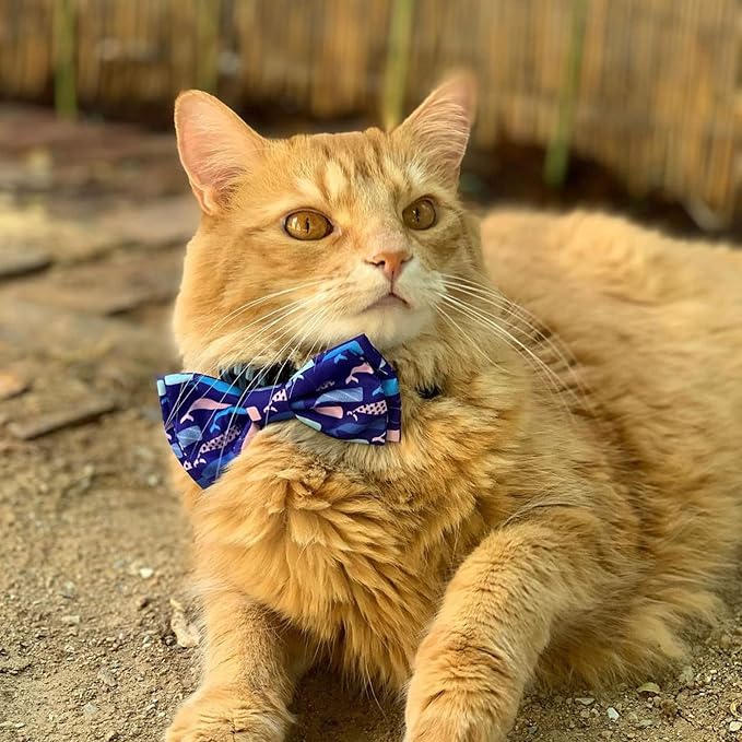 Huxley & Kent Bow Tie for Pets | Whale Watch (Large) | Bow Tie Collar Attachment | Fun Bow Ties for Dogs & Cats | Cute, Comfortable, and Durable | H&K Bow Tie