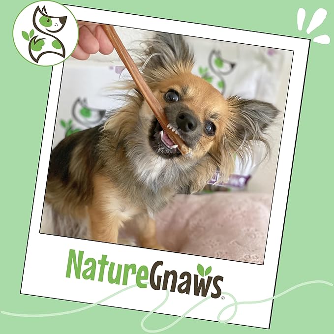 Nature Gnaws Extra Thin Bully Sticks for Small Dogs 5-6" (25 Count) - Long Lasting for Light Chewers and Puppies - Natural Beef Dog Chew Bones