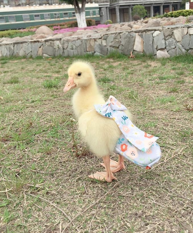 Duck Diapers, Chicken Diapers, Special Diapers for Poultry, Chicken, Duck and Goose Waterproof, Adjustable, Washable and Reusable Diapers，Poultry Supplies, Duck Supplies (L:250克-350克)