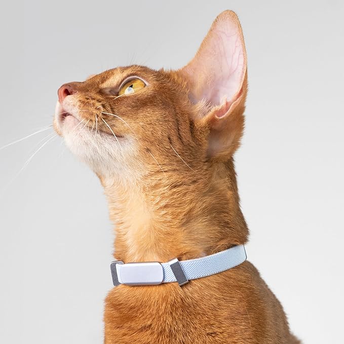Engraved Pet ID Tag - Personalized Name Tag Engraved Cat Collar Charms, Aluminum Alloy Customized Cat Name Tag for Kitten Small Large Cats (Horizon-Sierra Blue S)