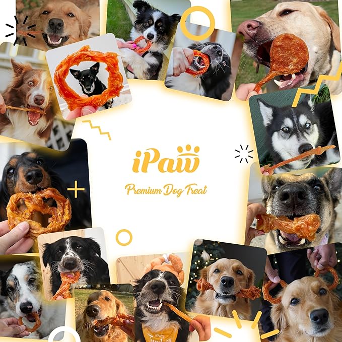iPaw 10 Pcs Value Pack Turkey Tendons for Dogs, 100% Turkey and US Sourced Raw Material, Hypoallergenic, All Natural Human Grade Puppy Chew, Rawhide Alternative Dog Treats, Ring (Small)