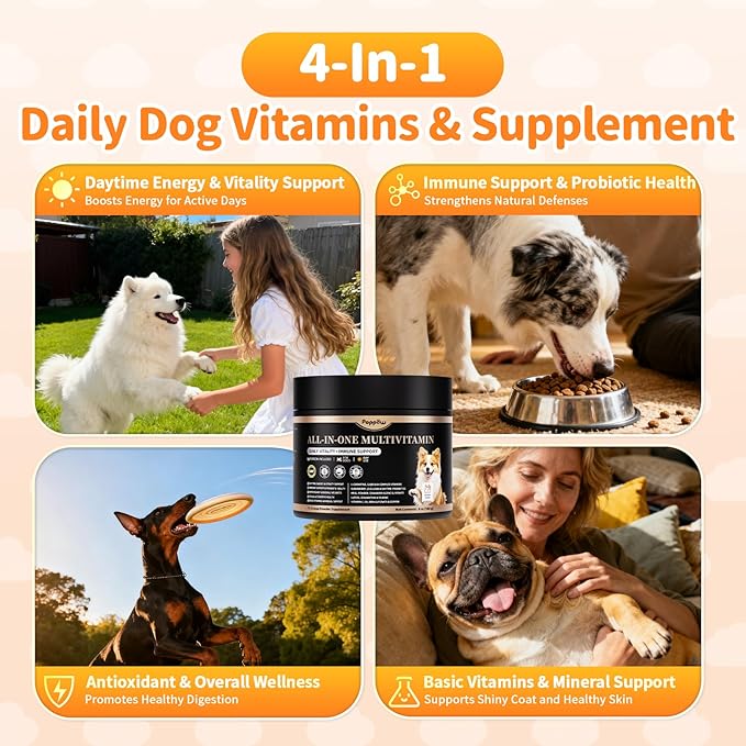 Dog Vitamins and Supplements for Daily Energy, Immune, Antioxidant, Gut, Skin & Coat, Dog Multivitamin Powder for Homemade Food with L-Carnitine, Taurine, Probiotics - Chicken Flavor, 75 Scoops