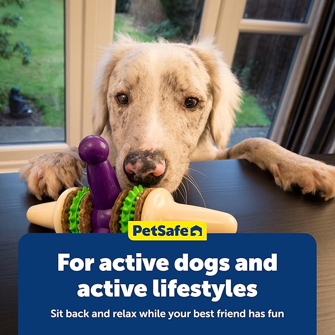 PetSafe Busy Buddy Jack - Keeps Dog Busy - Includes Treats Refill - Treat Holding Dog Toy - Helps Clean Teeth - Durable Rubber - Strong Chewers - Dishwasher Safe - Medium - Purple