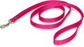 PetSafe Nylon Leash - Helps Maintain Secure Connection on Walks - Durable Pet Leash with Easy Clip - 3/4 in. x 6 ft. - Raspberry