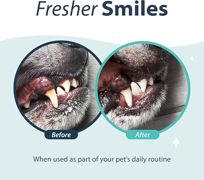 Dental Fresh Oral Spray for Dogs and Cats, Help Freshen Breath for Healthy Teeth & Gums, 4 Fl Oz.