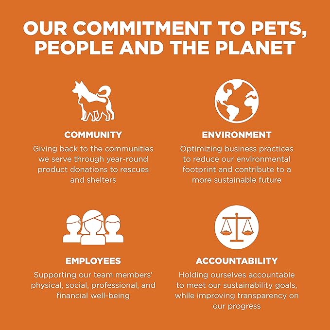 Go! Solutions Skin + Coat Care Salmon Grain-Free Dry Cat Food, Chicken-Free, Healthy Kibble with Omega-3s & 6s for Soft, Shiny Fur, for Kittens, Adults, & Seniors, 3 lb Bag