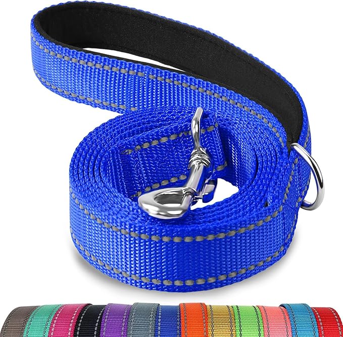 Joytale Dog Leash, 6 FT Double-Sided Reflective, Padded Handle Nylon Heavy Duty Leashes for Medium & Large Dogs Walking, Navy Blue