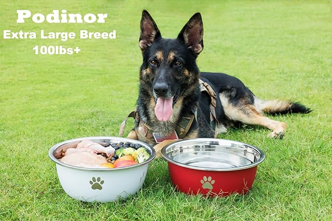 Large Dog Water Bowl 2 Pack, 1.3 Gallons 170oz Stainless Steel Extra Large Dog Food Bowl for Big Giant Dogs, Red