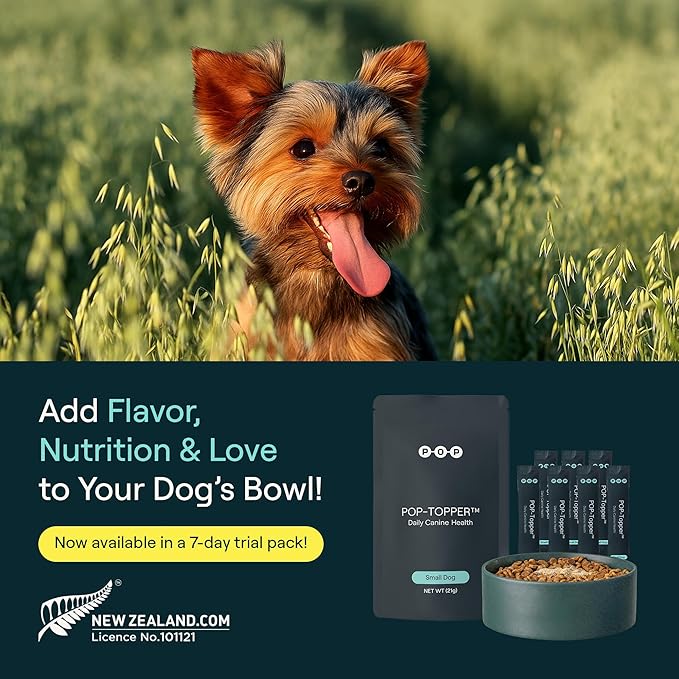 POP-Topper Dog Food Meal Toppers – Multivitamin Powder for Dogs Under 35 lbs - Delicious Bone Broth Base with 6 Human-Grade Superfoods - Supports Joints, Gut, Skin & Coat - Pack of 7, Trial Size