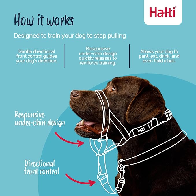 Halti Headcollar Size 4, Black & Halti Training Leash Size Large, Black Combination Pack - Stop Your Dog Pulling on the Leash. Adjustable, Lightweight with Padded Nose Band. Suitable for Large Dogs