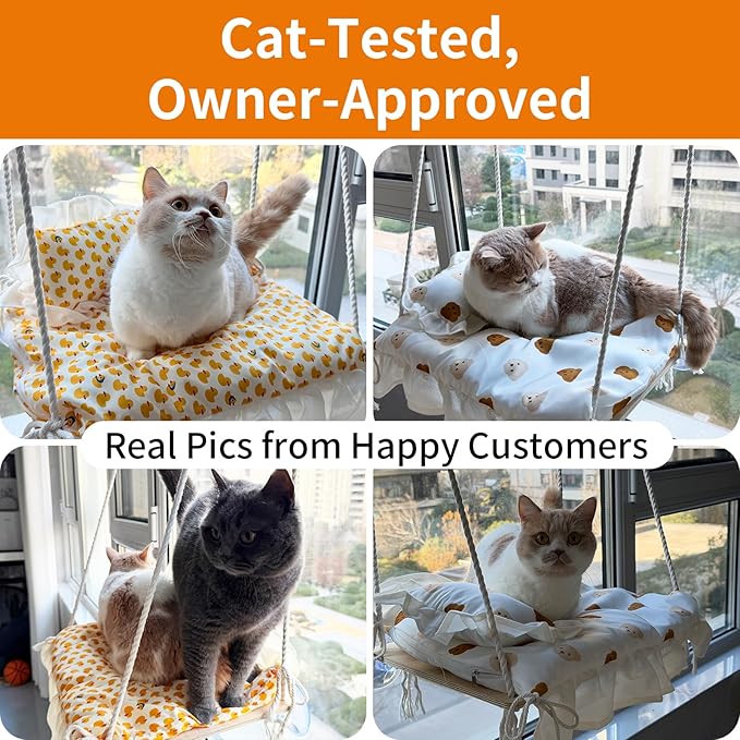 Cat Window Perch, Heavy Duty 20KG/44LB Suction Cup Hammock Bed with Soft Cushion, Secure & Stable Window Mount for Lazy Time, Bird Watching, Safe for Large Cats, 18.9"x14.5" (Little Bear)