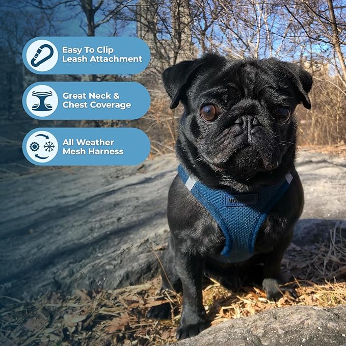 Best Pet Supplies Voyager Step-in Air Harness - All Weather Mesh, Reflective, No Pull Harness for Dogs, Cats - Secure with Hook & Loop Fastener, Buckle, Double D-Rings - Blue, XS