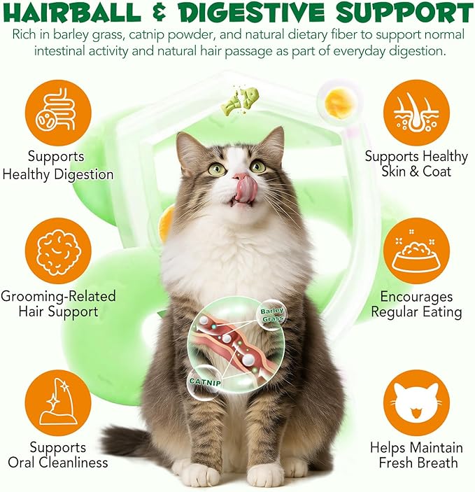 Cat Grass Treats, Cat Treats for Indoor Cats, Promotes Natural Hairball Passage, Reduce Plaque Build-Up Support Fresh Breath, Cats Dental Care Bites Kitten Snacks Training Biscuits, Catnip Flavour