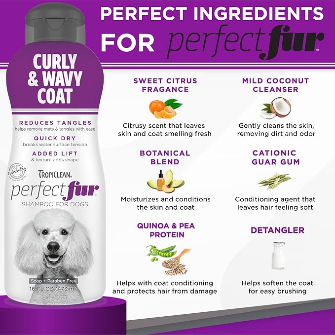 TropiClean Perfect Fur Natural Detangling Dog Shampoo for Doodles, Poodles, and Breeds with Curly Wavy Coats, Moisturizing Shampoo, Puppy Safe, 16oz.