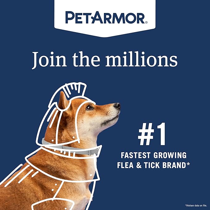 PetArmor Extend Flea & Tick Treatment & Prevention Collar for Small Dogs up to 18 lbs., 8 Months of Protection, Odorless & Non-Greasy, Waterproof, Kills Fleas, Ticks, and Flea Larvae, 1 Count