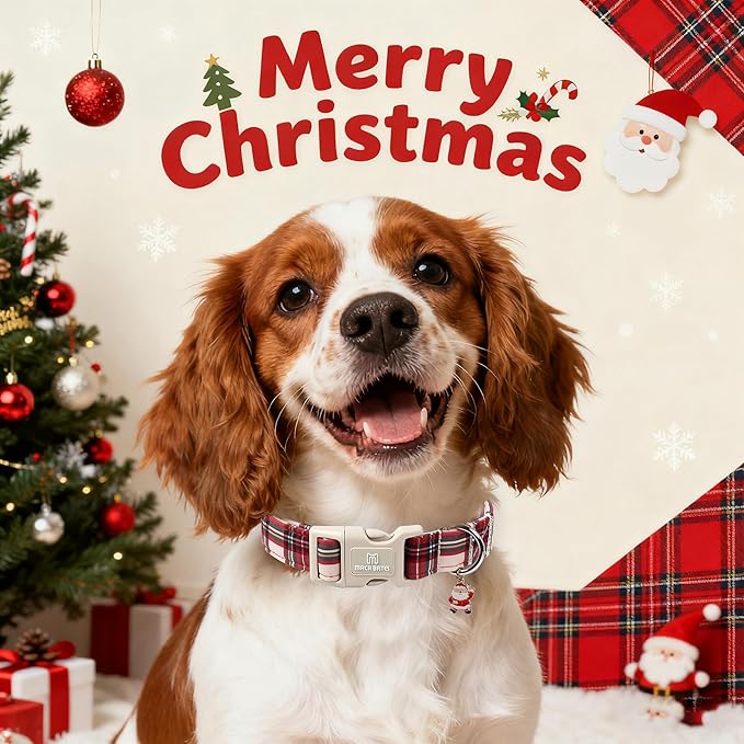 Maca Bates Christmas Red and White Plaid Basic Dog Collar for Extra Large Boy Girl Dogs with Santa Charm,Gingham Scottish Soft Adjustable Durable Checkered Collars,Winter Gift for Male Female Puppy