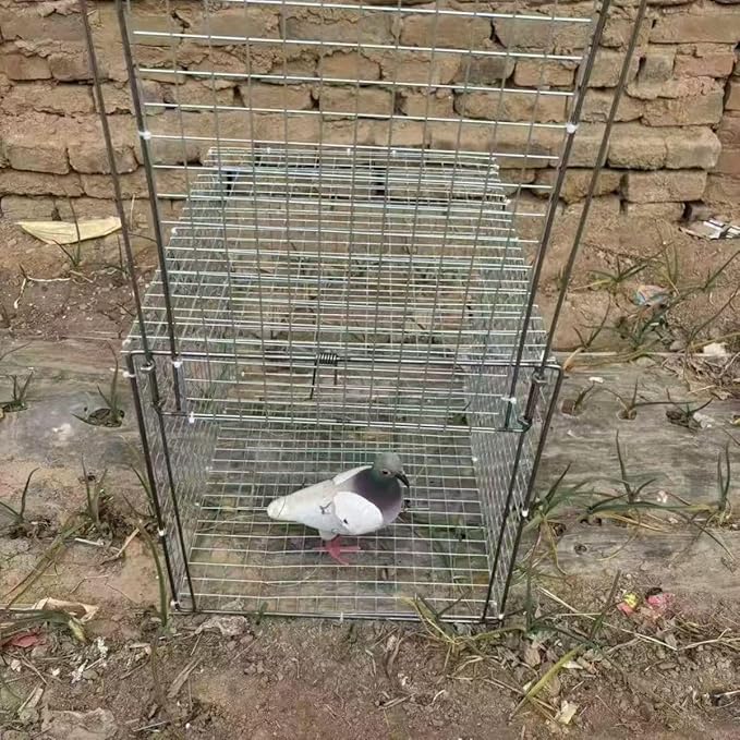 Pigeon Cage,One Way Entry Pigeon Trap, Portable and Easy to Assemble Outdoor Bird Cage with Escape Proof Design Spacious Bird Cage Pigeon Cage Suitable for Parrots
