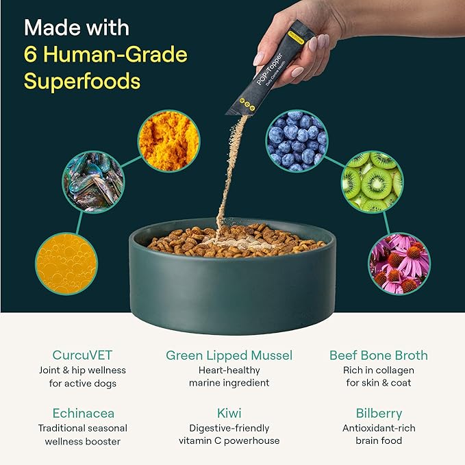 POP-Topper Dog Food Meal Toppers – Multivitamin Powder for Dogs 35 lbs & Up - Delicious Bone Broth Base with 6 Human-Grade Superfoods - Supports Joints, Gut, Skin & Coat - 30 Packets