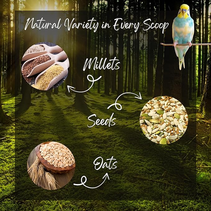 Danodia's Zoolulu Cockatiel & Parrotlet Millet Mix (450g/1 lbs) | Bird Food Blend for Cockatiels, Budgerigars, Parrotlets & Lovebirds | Daily Feeding Blend