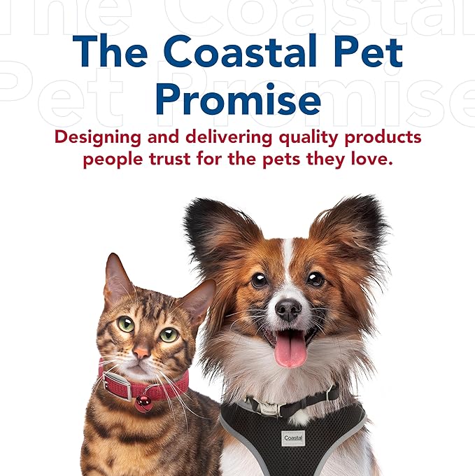Coastal Pet Safari Dog Soft Slicker Brush - Dog Grooming Brush for Shedding - for Dogs with Short, Medium and Long Hair - Small - 6.5" x 2.5"