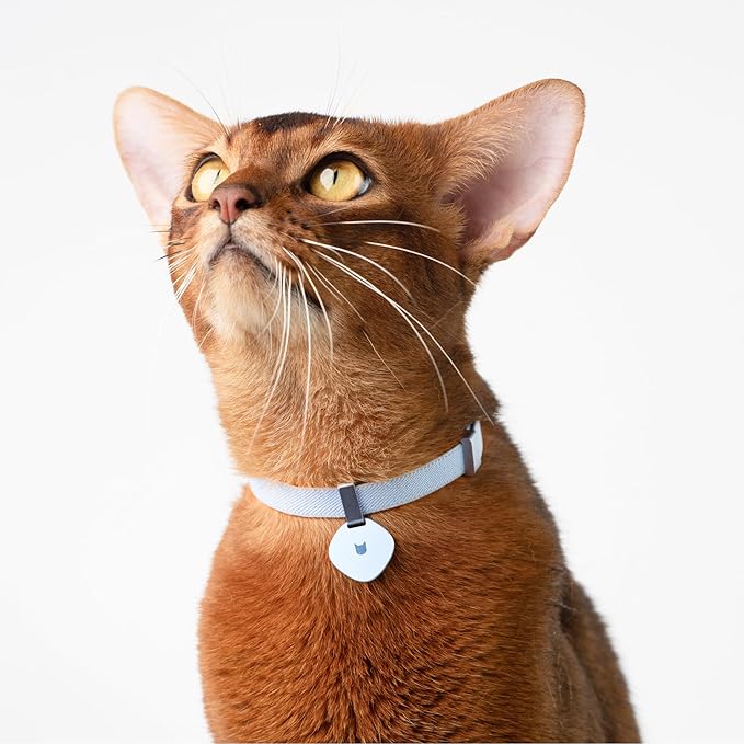 Engraved Pet ID Tag - Personalized Name Tag Engraved Cat Collar Charms, Aluminum Alloy Customized Cat Name Tag for Kitten Small Large Cats (Midnight Black-Star)