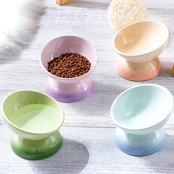 Hushee 4 Pcs Ceramic Raised Cat Food Bowls Elevated Tilted Dish Anti Vomiting Food or Water Bowls Pet Supplies