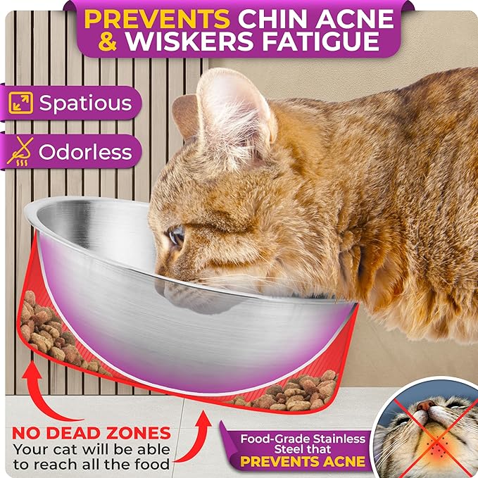 Raised cat Bowls for Indoor Cats by WinTruffles, Elevated cat Bowls with Cat Food Mat, Tilted and Elevated Anti Vomiting Cat Dishes for Food and Water, Set of 2 Stainless Steel Bowl with Silicone Mat