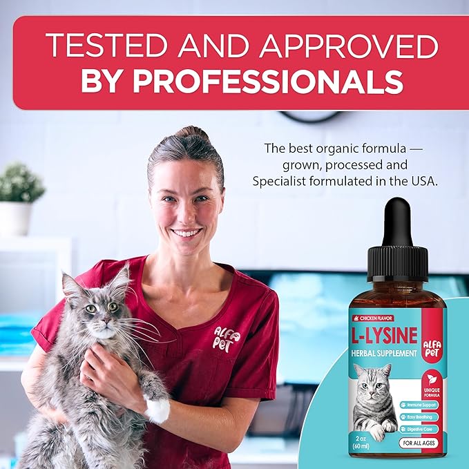 L Lysine for Cats Helps with Watery Eyes, Sneezing, Cough, Allergy – Works as Natural Antibiotic for Cats – Feline Upper Respiratory Supplement with Vitamins, Probiotic and Chicken Flavor – 2 Oz