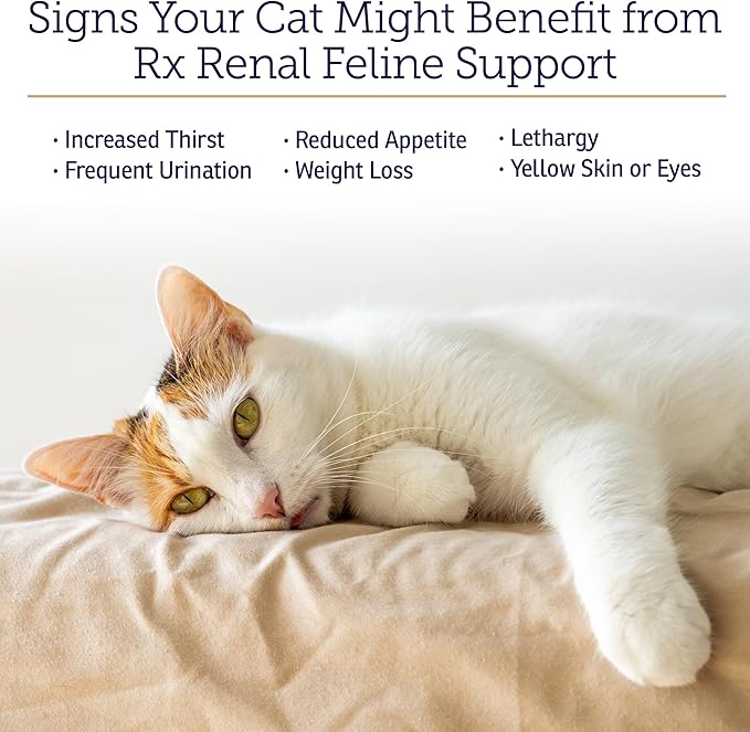 Rx Vitamins Renal Feline - Cat Kidney Support with Milk Thistle for Cats - Anti Inflammatory for Cats - Boosts Antioxidant Health & Liver Support - Cat Immune Booster - 120 Capsules