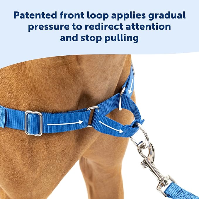 PetSafe Easy Walk Harness for Dogs - Pull-Free Walks - Patented Martingale Loop Design - Front Chest Leash Attachment - Comfort Straps - Breathable Harness Design - Medium, Red/Black