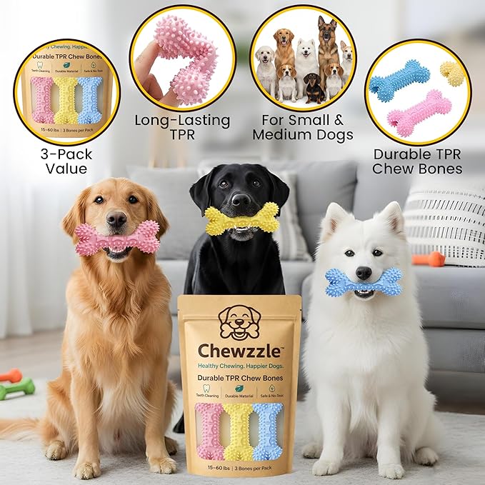 Chewzzle™ Dog Chew Toys for Small Dogs & Puppies | Soft TPR Textured Bones for Light to Moderate Chewers | 3-Pack Vibrant Colours, Safe & Engaging Design