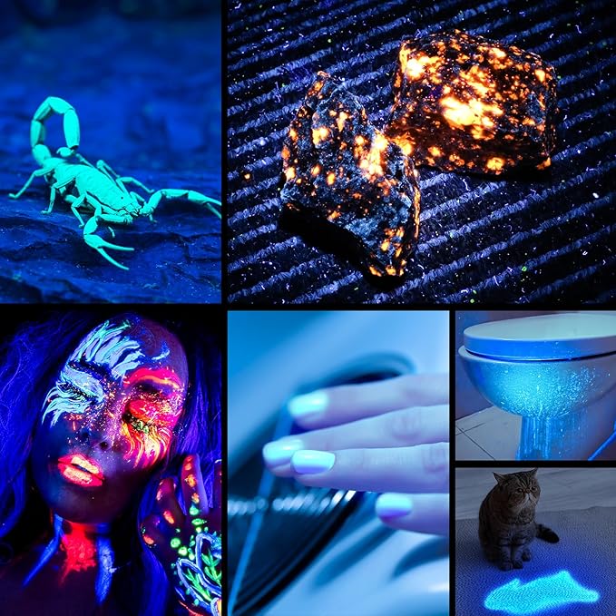 Consciot UV Flashlight Blacklight USB-C Rechargeable, 365nm LED Ultraviolet Light, Portable Woods Lamp for Pet Urine Detection, Dry Stains, Bed Bug, Curing Resin and Gel Nails, Yooperlites, 2 Pack