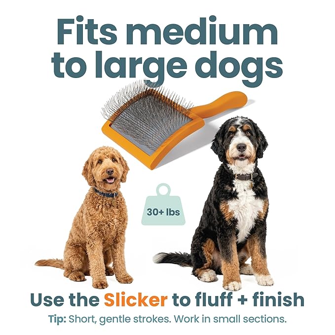 Slicker Brush for Dogs, Goldendoodle Brush for Fluff – Routine Essential for Poodles, Bernedoodles & Long Haired Breeds, Gentle Dematting & Easy-Clean Bristles – Skip the Groomer