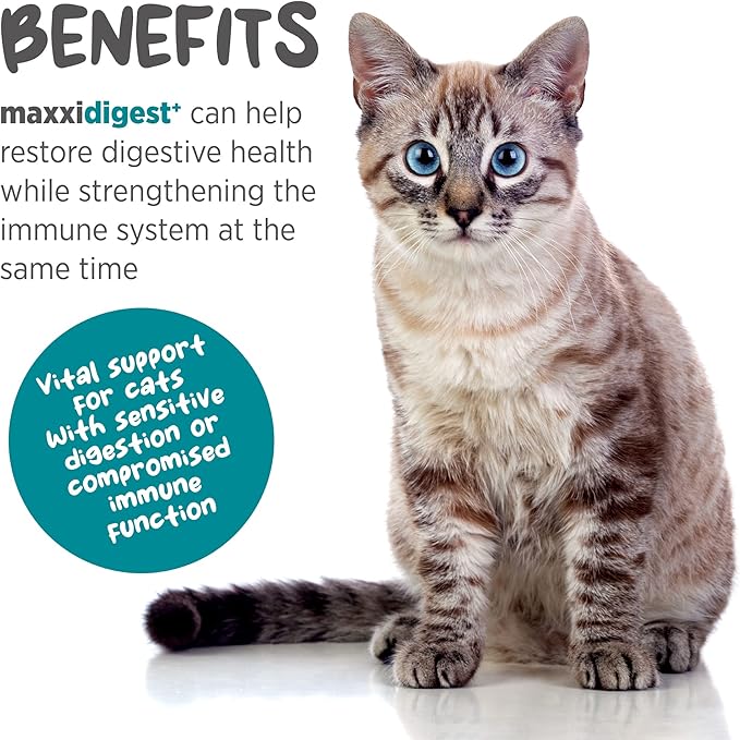 maxxipaws maxxidigest+ Prebiotic & Probiotic for Cats 3.2oz | Cat Probiotic Powder with Advanced Digestive Enzymes for Gut Health & Immunity | Supports Digestion, Food Sensitivities & Itchy Skin