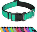 Reflective Dog Collar, Adjustable Soft Neoprene Padded Nylon Pet Collars with Buckle for Extra Large Dogs, Grass Green,XL