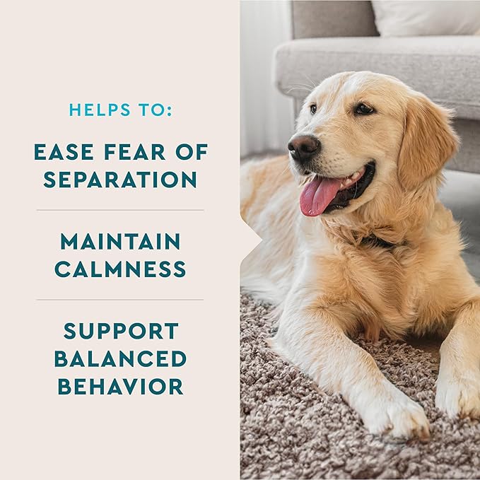 VetIQ Calming Support Supplement, Calming Chews for Dogs Help Manage Stress and Promote Relaxation, Anxiety Relief for Dogs, Made in The USA, 120 Count (Pack of 2)