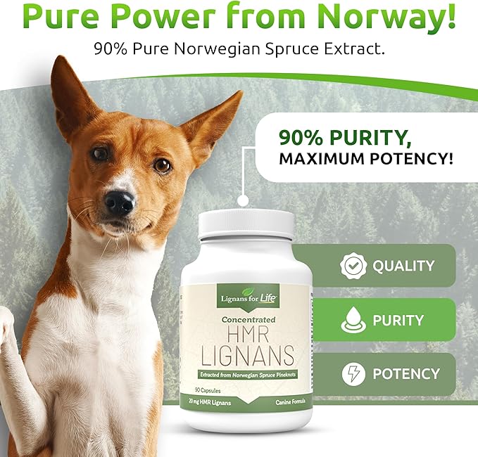 Lignans For Life HMR Lignans 20mg - 90 Capsules - Vitamin for Healthy Pet | Natural Multivitamin | Wellness Supplement | Overall Health with Phytonutrients