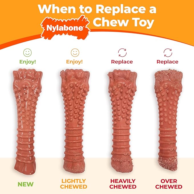 Nylabone Textured Dental Bone Power Chew Toy for Dogs, Dog Toys for Aggressive Chewers, Flavor Medley Flavor, X-Large - 50+ lbs, 1 Count