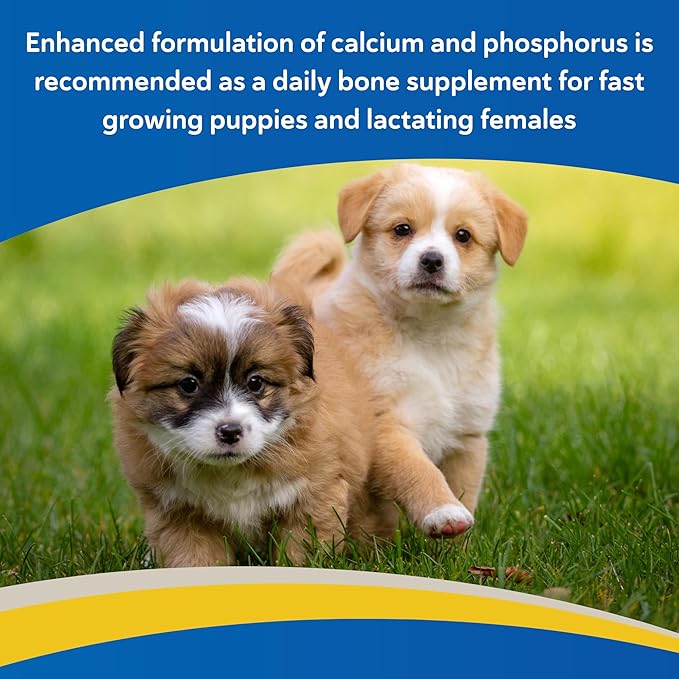 Doc Roy’s Healthy Bones Calcium Phosphorus Supplement Vitamin for Puppies, Dogs, Kittens & Lactating Females, Supports Strong Bones, Teeth & Muscle, Roast Beef & Liver Flavored, 100ct Chewable Tablets
